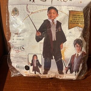 Harry Potter Gryffindor Student Costume